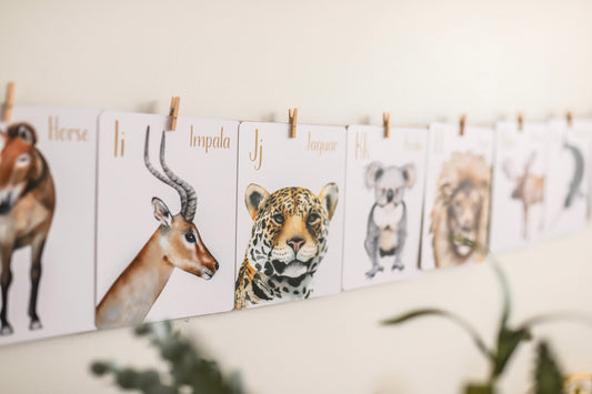 Animal Alphabet Flash Cards